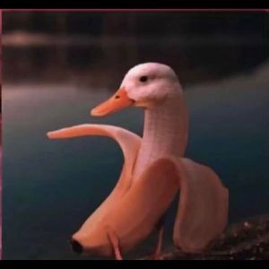 Meet your Posher, Guadalupe